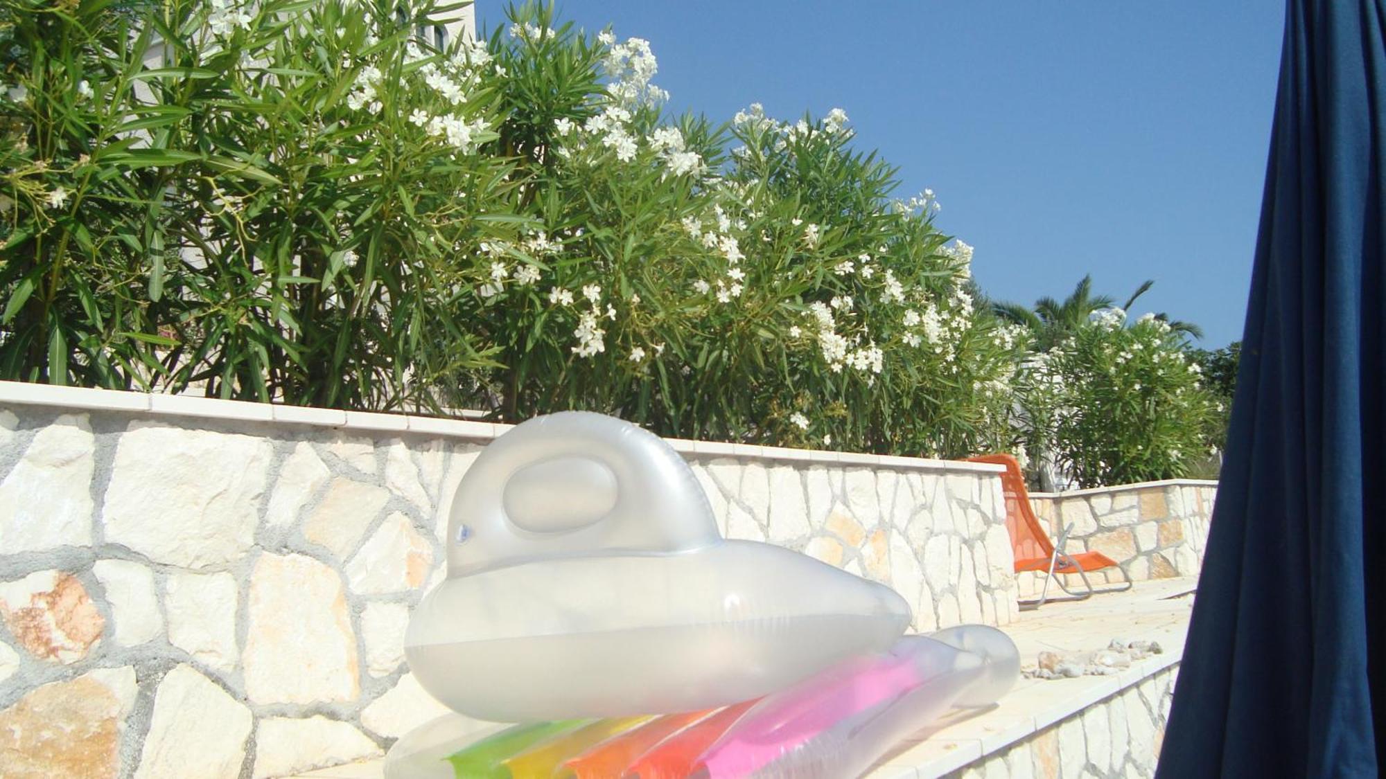 Apartments Niana With Heated Seawater Swimingpool Donji Okrug  エクステリア 写真
